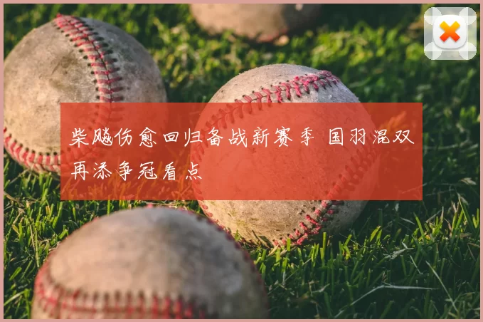 柴飚伤愈回归备战新赛季 国羽混双再添争冠看点