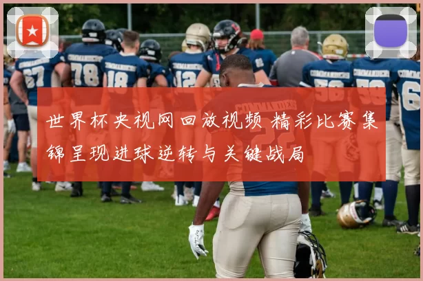 世界杯央视网回放视频 精彩比赛集锦呈现进球逆转与关键战局