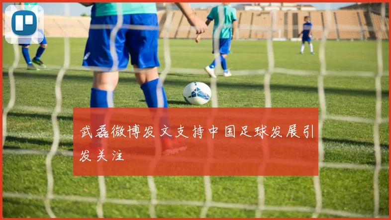 武磊微博发文支持中国足球发展引发关注