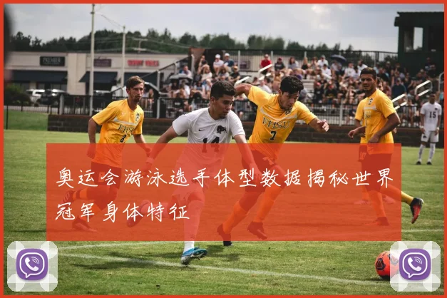 奥运会游泳选手体型数据揭秘世界冠军身体特征