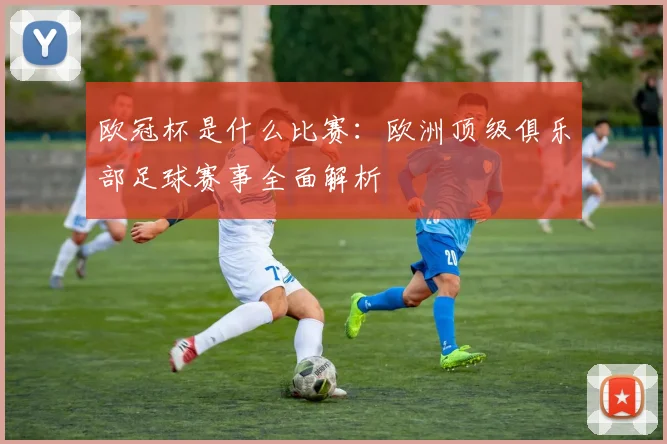 欧冠杯是什么比赛:欧洲顶级俱乐部足球赛事全面解析